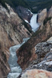 BADL-YELL-GRTE-ZION-1002