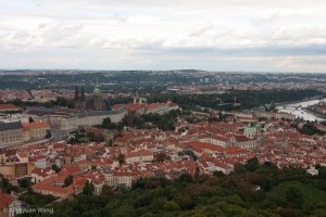 Germany -- week 10-24