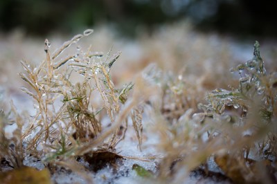 Ice storm-1
