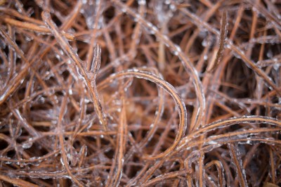 Ice storm-3
