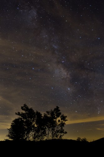 Black Balsam August-3