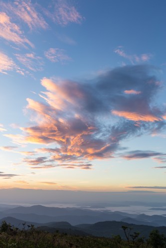 Black Balsam August-5