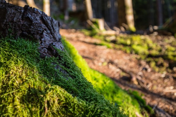 Ofterschwanger-Kramerspitz-3