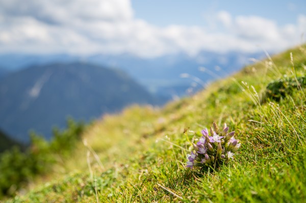 Ofterschwanger-Kramerspitz-6