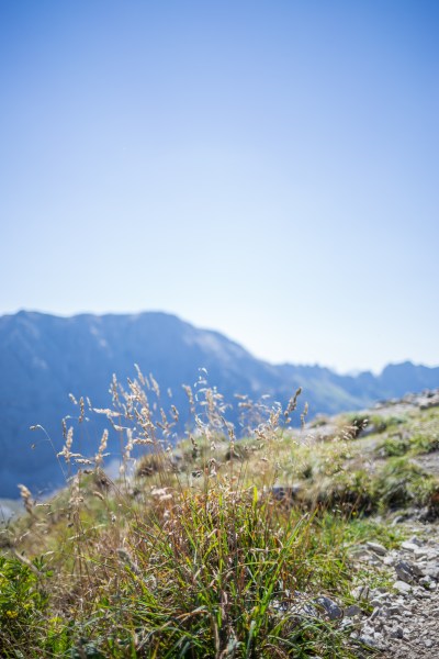 Rauhhorn - Rotspitze-5