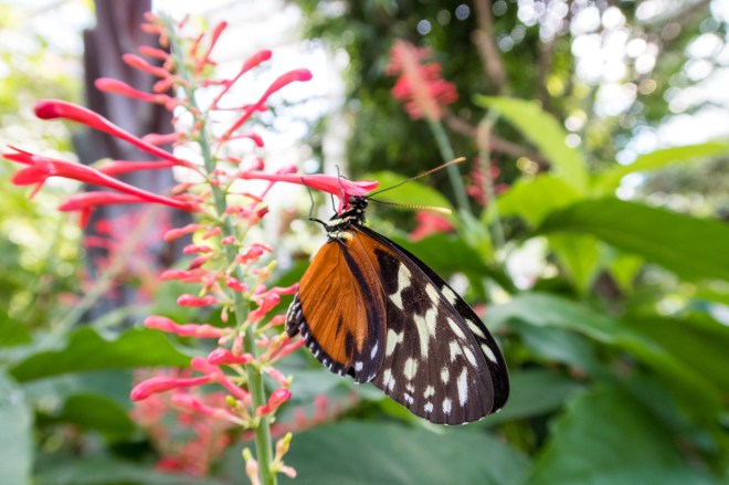 unexpected-journeys-12