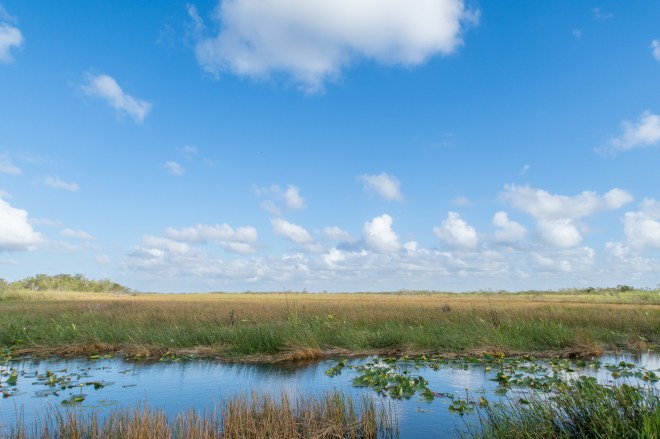 unexpected-journeys-4