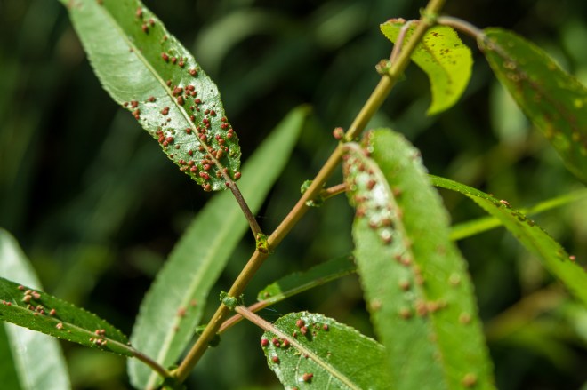 unexpected-journeys-5