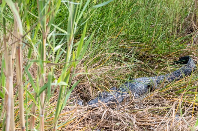 unexpected-journeys-6