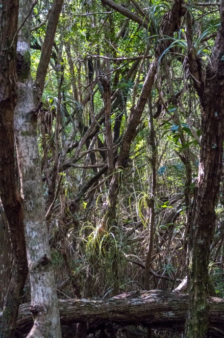 unexpected-journeys-7