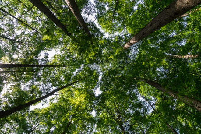 Price of Modernization-28