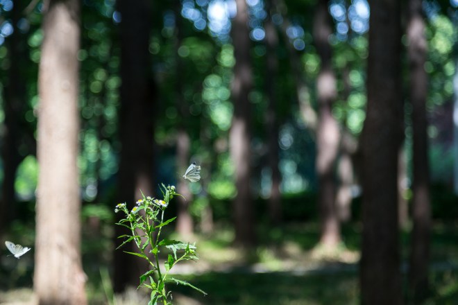 Price of Modernization-29