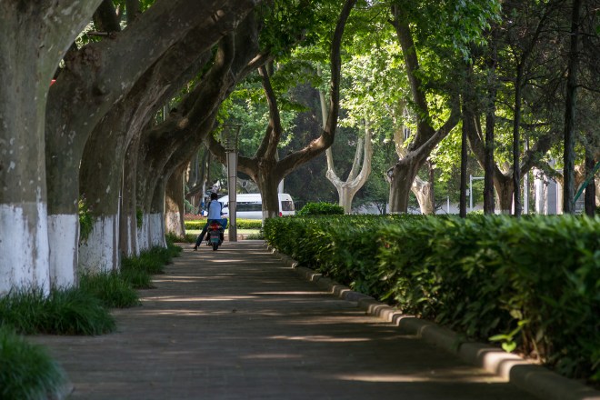 Price of Modernization-30