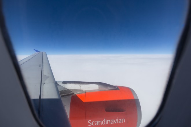 FAE_tiny green dot-1