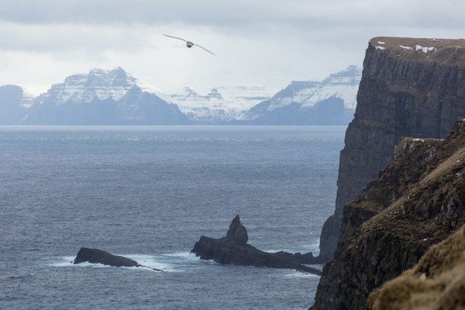 FAE_tiny green dot-10