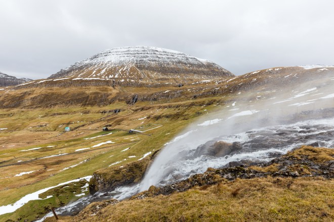 FAE_tiny green dot-14