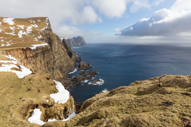 FAE_tiny green dot-16