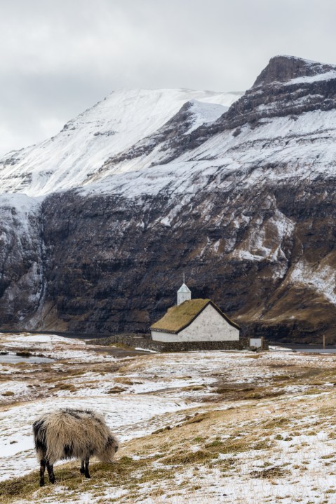 FAE_tiny green dot-3