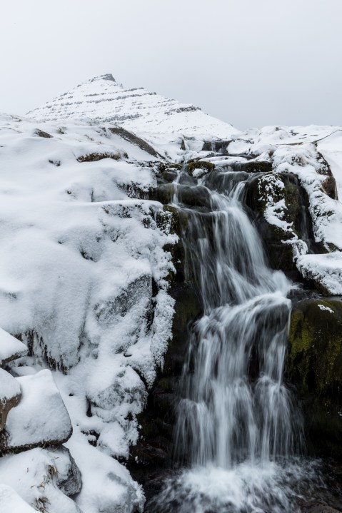 FAE_tiny green dot-4