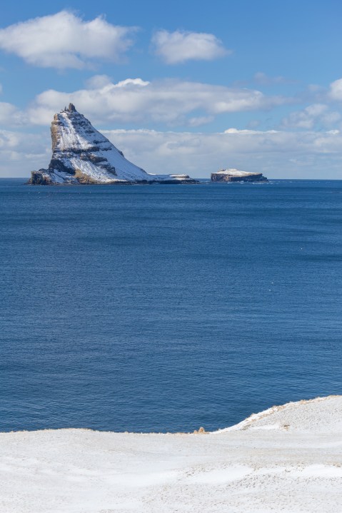 FAE_tiny green dot-6