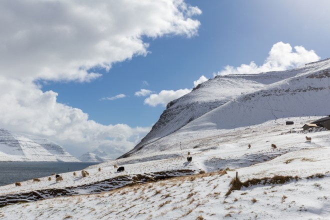 Staring impossible-11