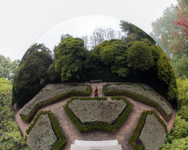 Southwestern tiptoe-12