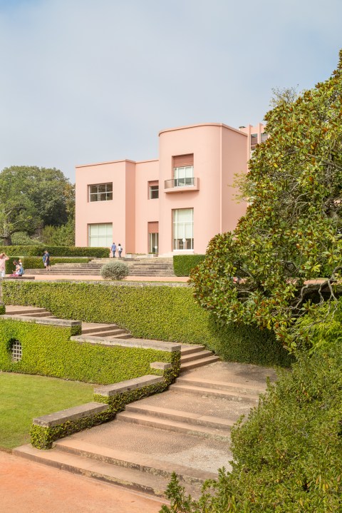 Southwestern tiptoe-13