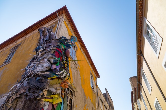 Southwestern tiptoe-2