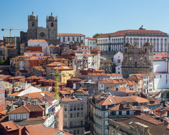 Southwestern tiptoe-23