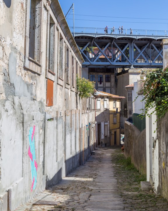 Southwestern tiptoe-25