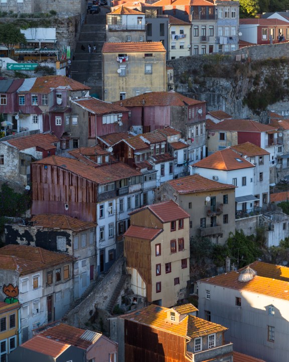 Southwestern tiptoe-32