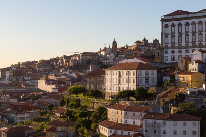 Southwestern tiptoe-33