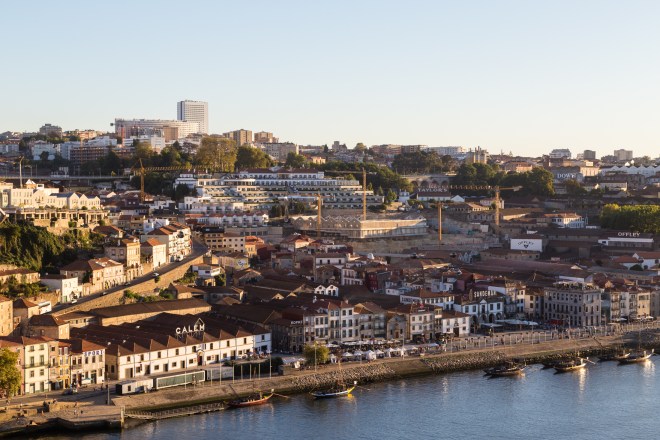 Southwestern tiptoe-34