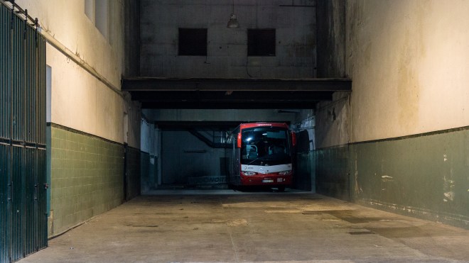 Southwestern tiptoe-36