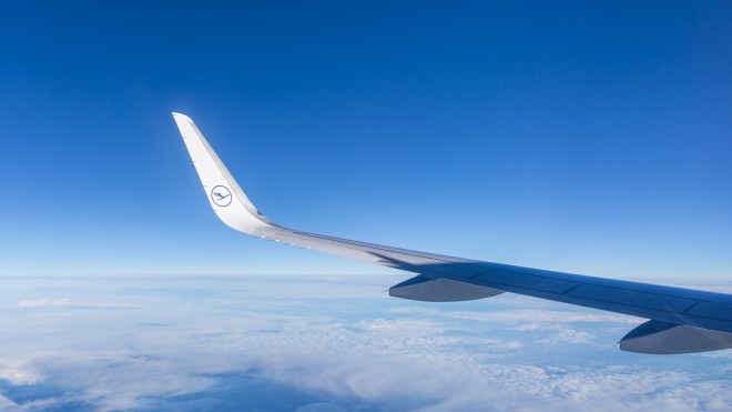 Cultural distractions-6