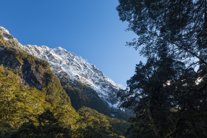 Beginning farewell-17