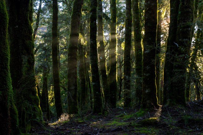 Beginning farewell-21