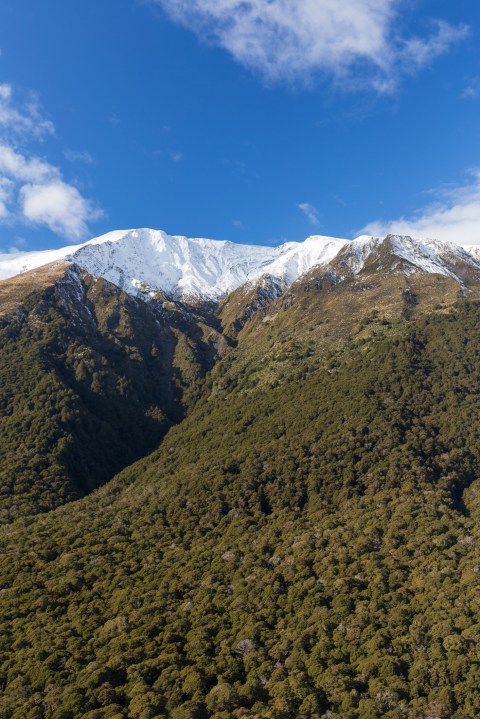 Beginning farewell-23