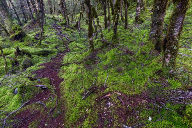 Beginning farewell-24