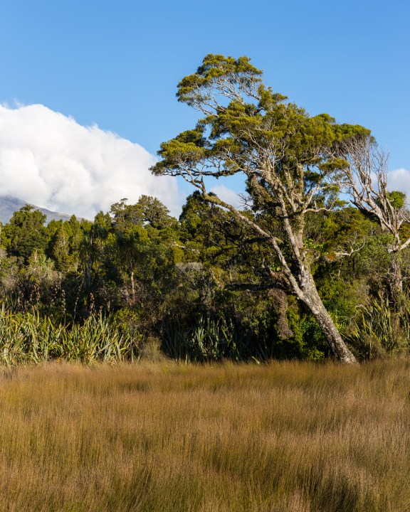 Beginning farewell-26