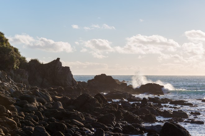 Beginning farewell-27